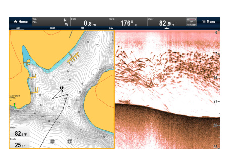 RAYMARINE Downvision Sonar Module CP100 E70204 от прозводителя Raymarine