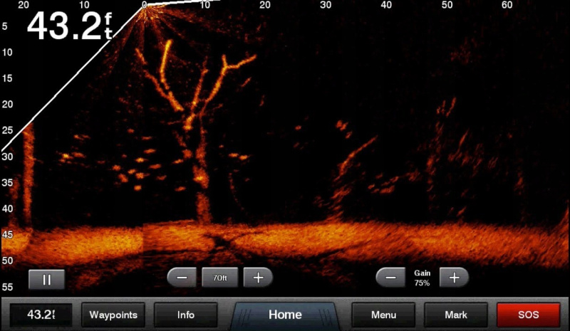 Garmin GPSMAP 723xsv/743xsv с Panoptix LVS34 + GLS10